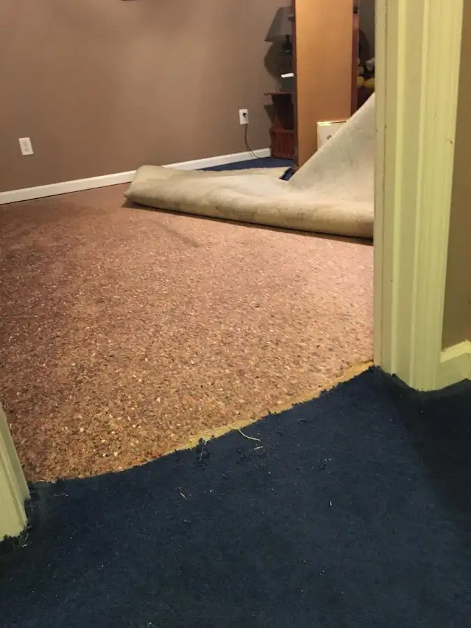 Carpet pad removal revealing water damage during Water Mitigation Services in Leighton