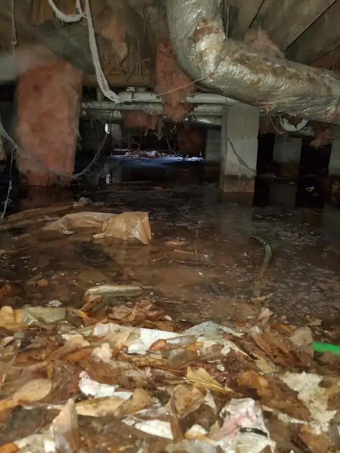 Crawl space flood assessment for Commercial Water Damage Restoration in Leighton